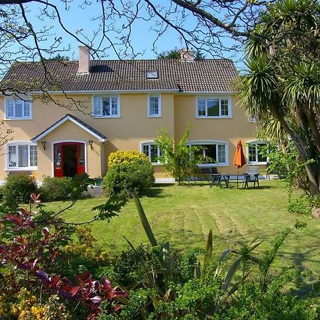 Ashe'S Accommodation Dingle Eksteriør bilde